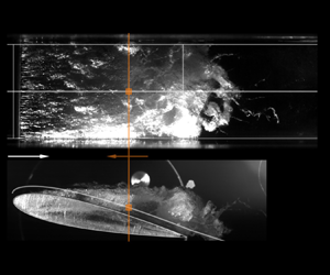 The transition from re-entrant flow-driven to shockwave-driven cloud cavitation